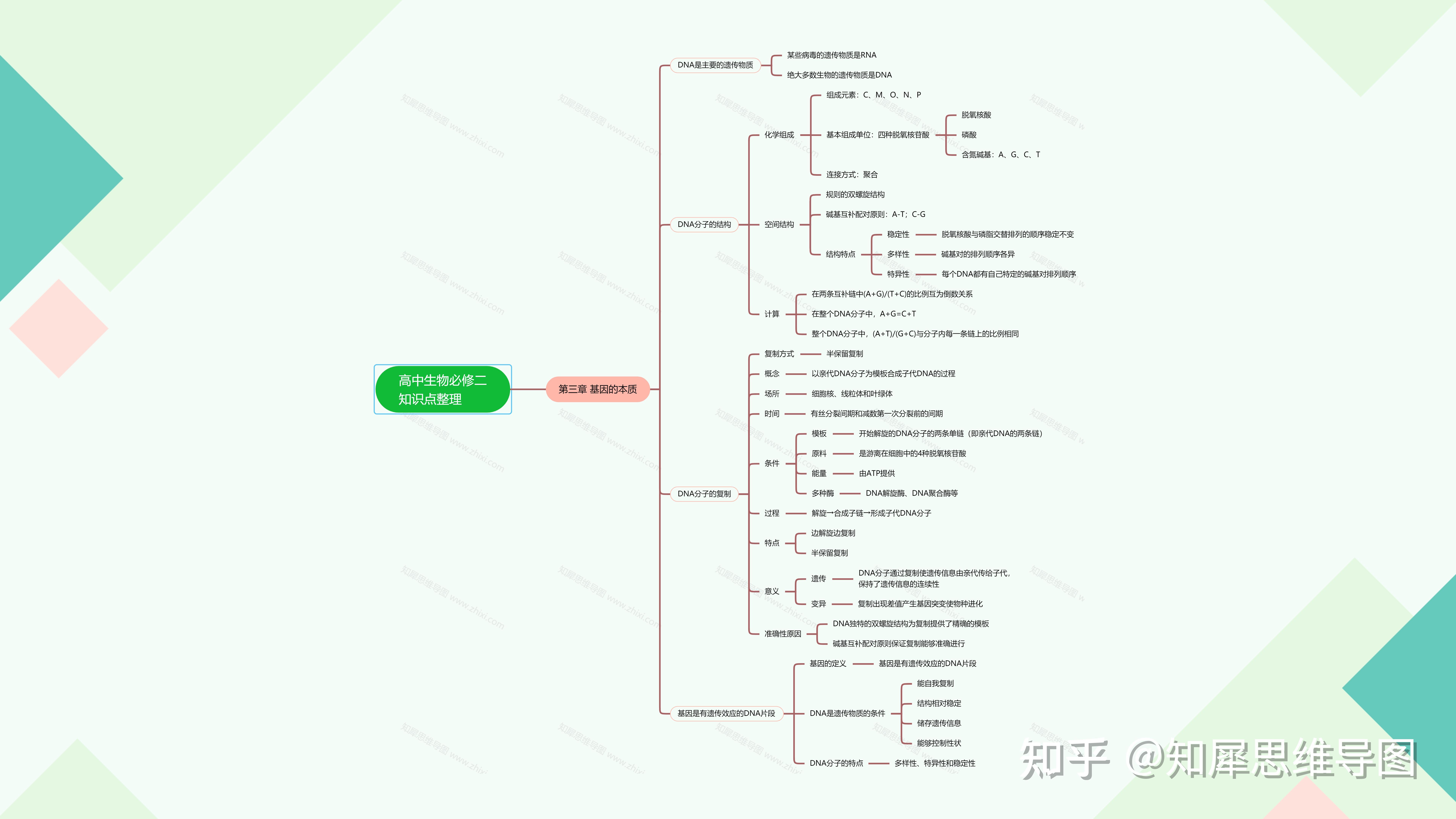 生物必修二思维导图