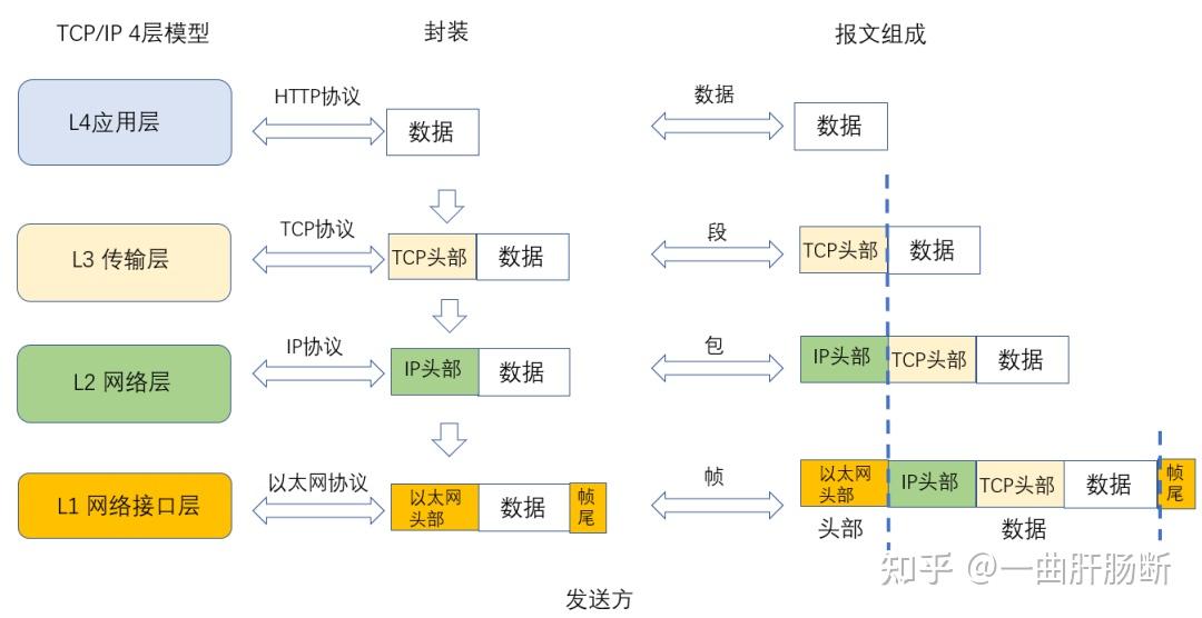 28 张图详解网络基础知识:OSI、TCP/IP 参考模型(含动态图) - 知乎