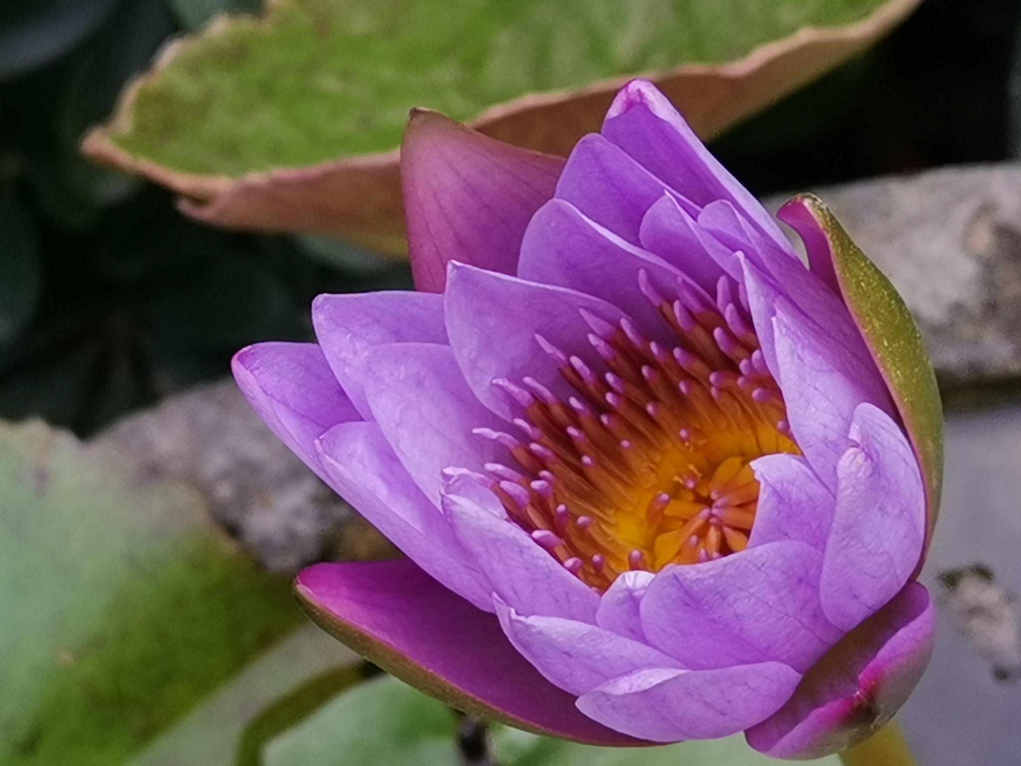 四代同堂 - 知乎