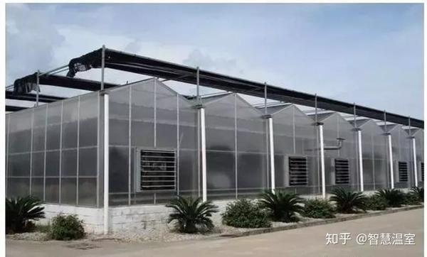 五分钟带你看完荷兰venlo温室从开始建造到蔬菜生长的全过程 知乎 五分钟带你看完荷兰venlo温室从开始建造到蔬菜生长的全过程 知乎