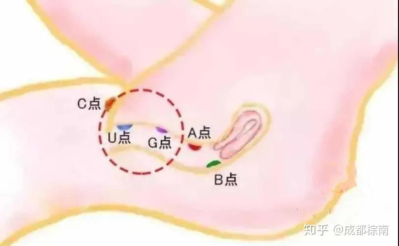 第三种:g点高潮比c点高潮更深入,快感非常激烈和集中.