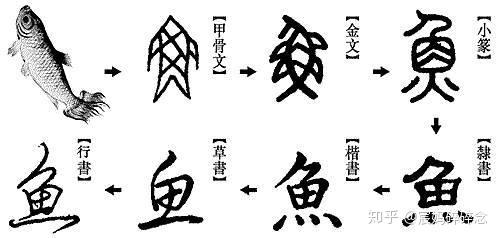 研究英语词源学(etymology)有什么好的书推荐? - 知乎