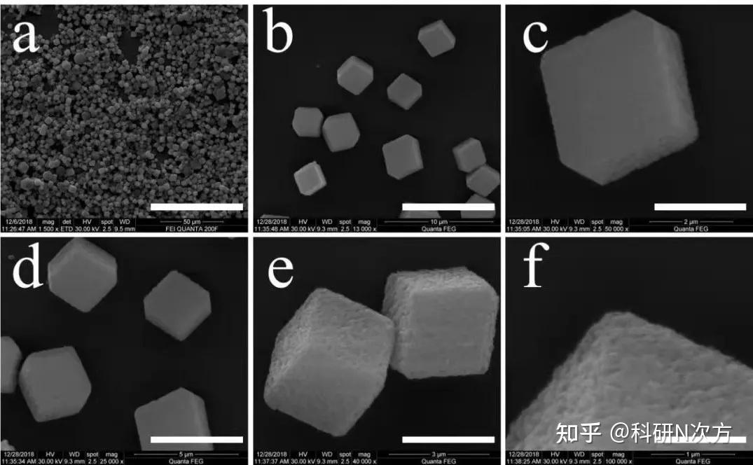 科研干货 | 太好用!导师让我用PPT排版SEM图片(内附PPT处理电镜图资料包) - 知乎