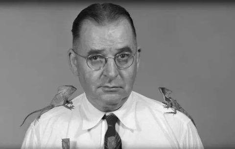 没有头的黑格尔卢曼