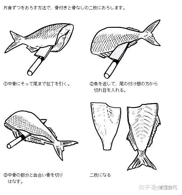 日本料理杀鱼方法——二枚切三枚切 - 知乎