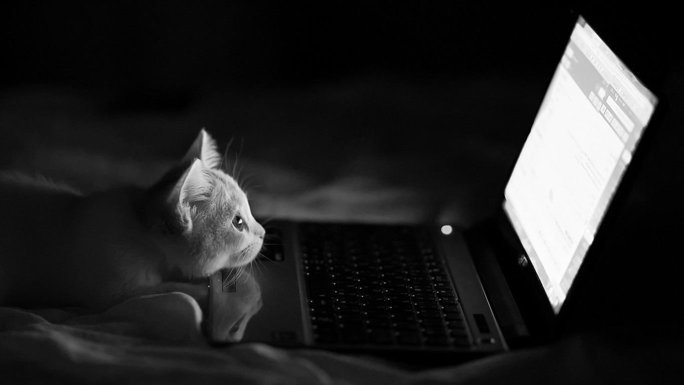 不然画质效果不太好)推荐风格:灰色,暗黑色,(不要颜色过多的壁纸)心动