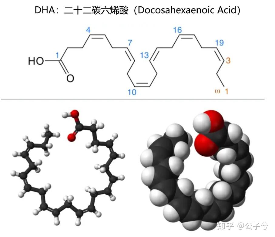 科學補腦就要全面出擊inne全腦dha助力寶貝全腦發育不懼內卷