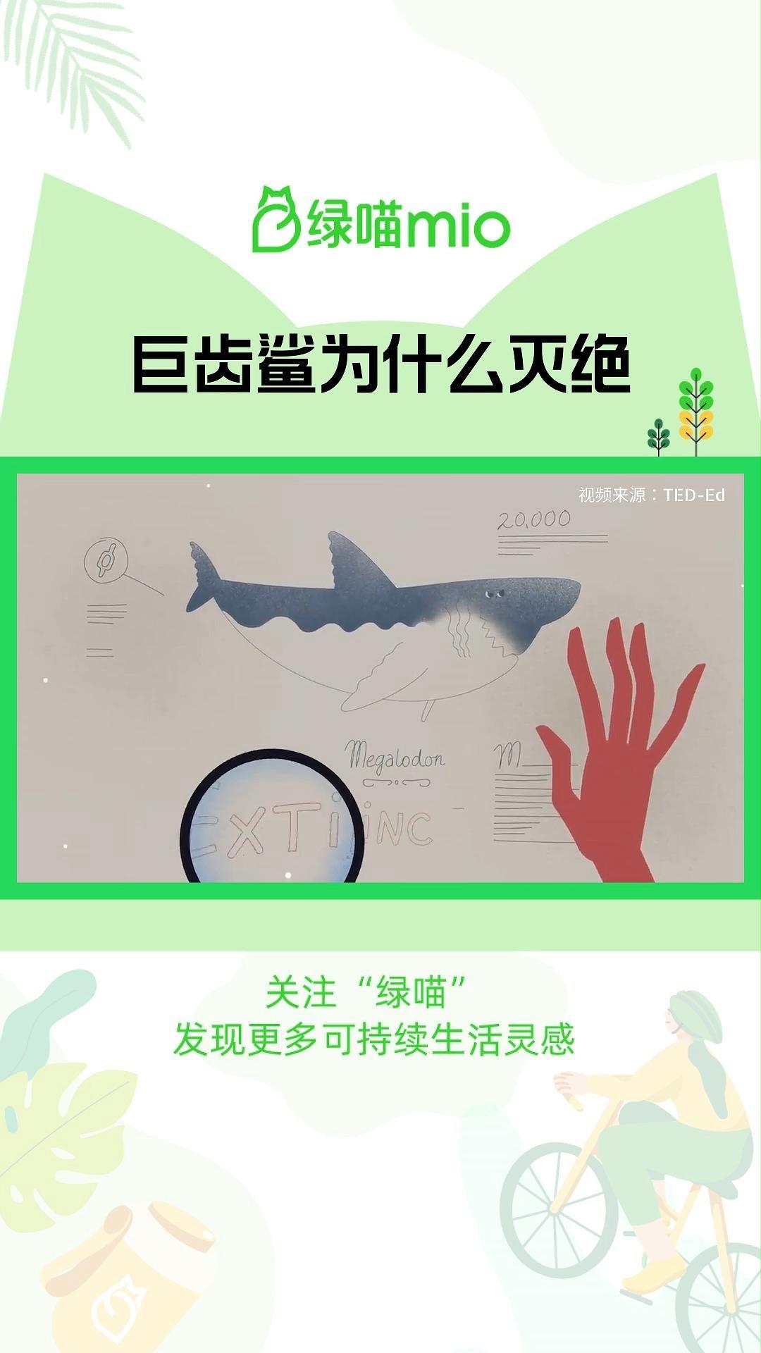 为何巨齿鲨会灭绝