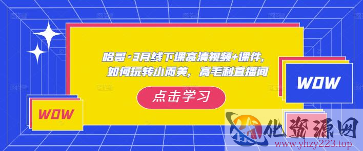 哈哥·3月线下实操课高清视频+课件，如何玩转小而美，高毛利直播间