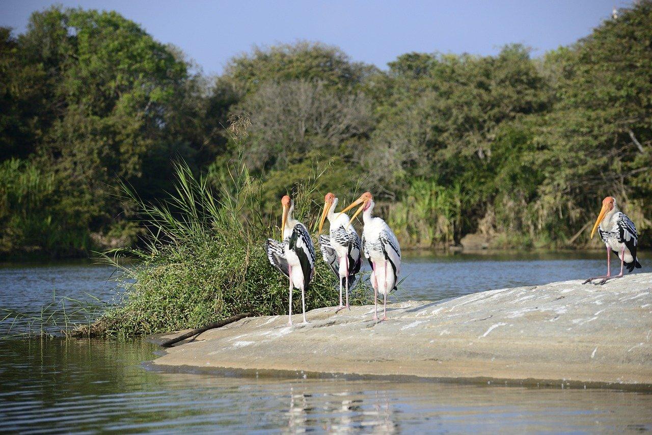 4. 环球贸易枢纽