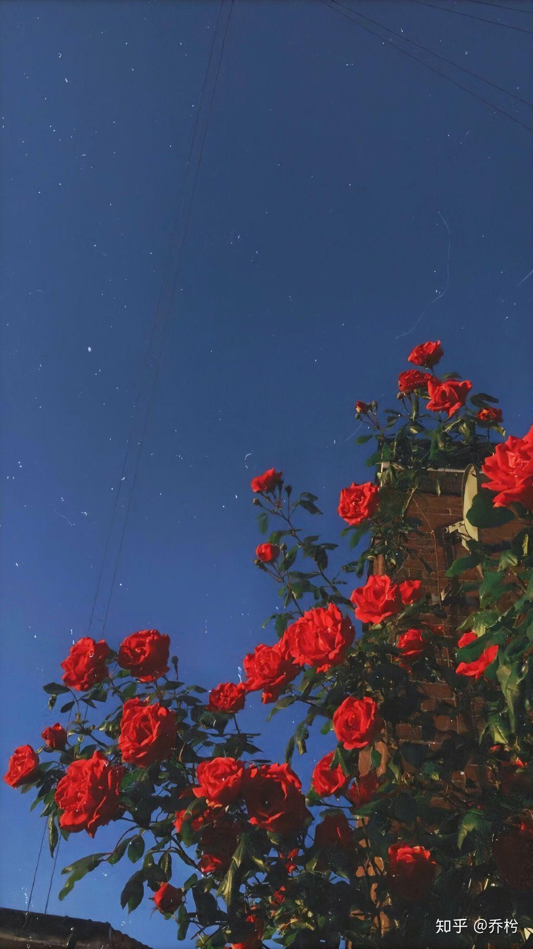 有哪些高质量的微信聊天背景图片