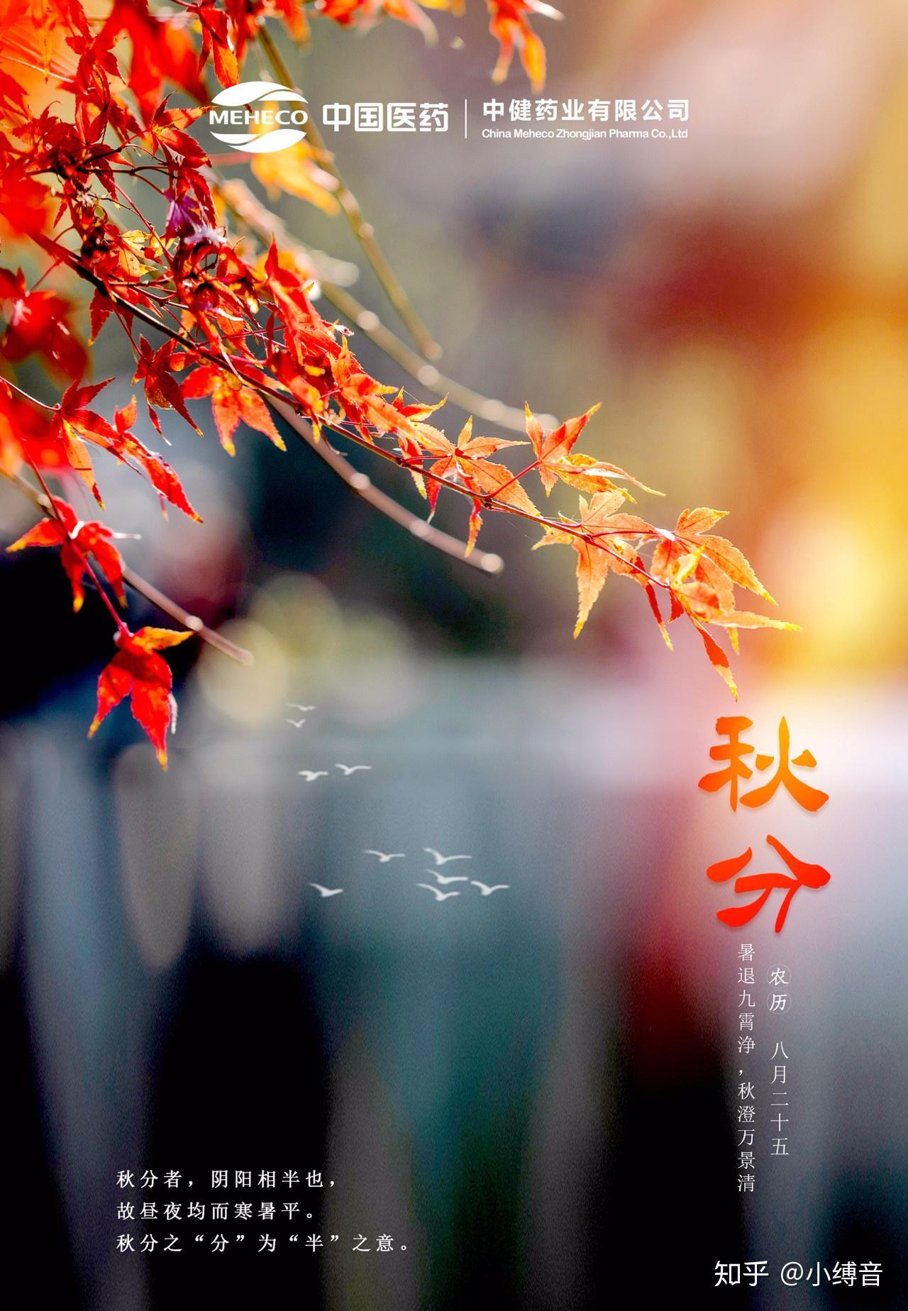 暑退九霄净秋澄万景清