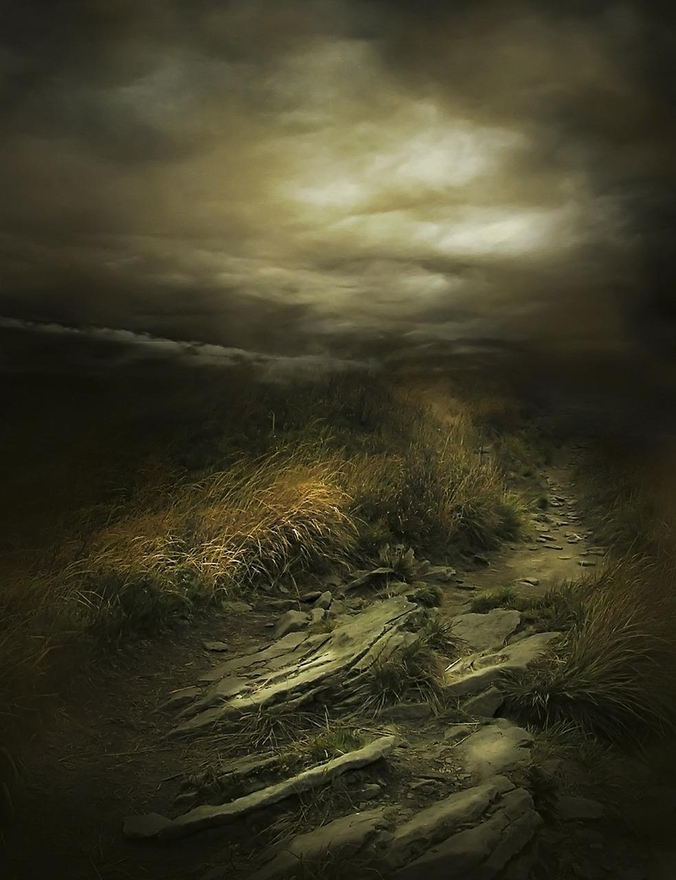 3. 金角东南独特性