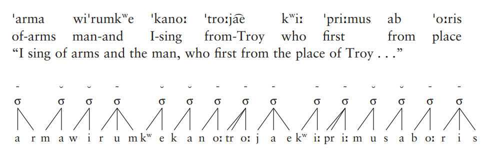 有一些语言有重音节和轻音节之分:重音节往往是以辅音结尾,或者有长