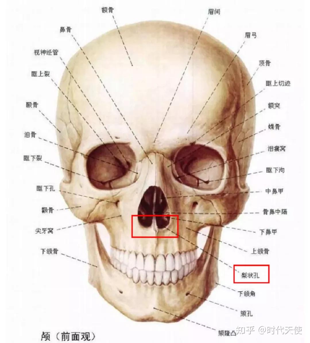 你是如何长出深覆合的