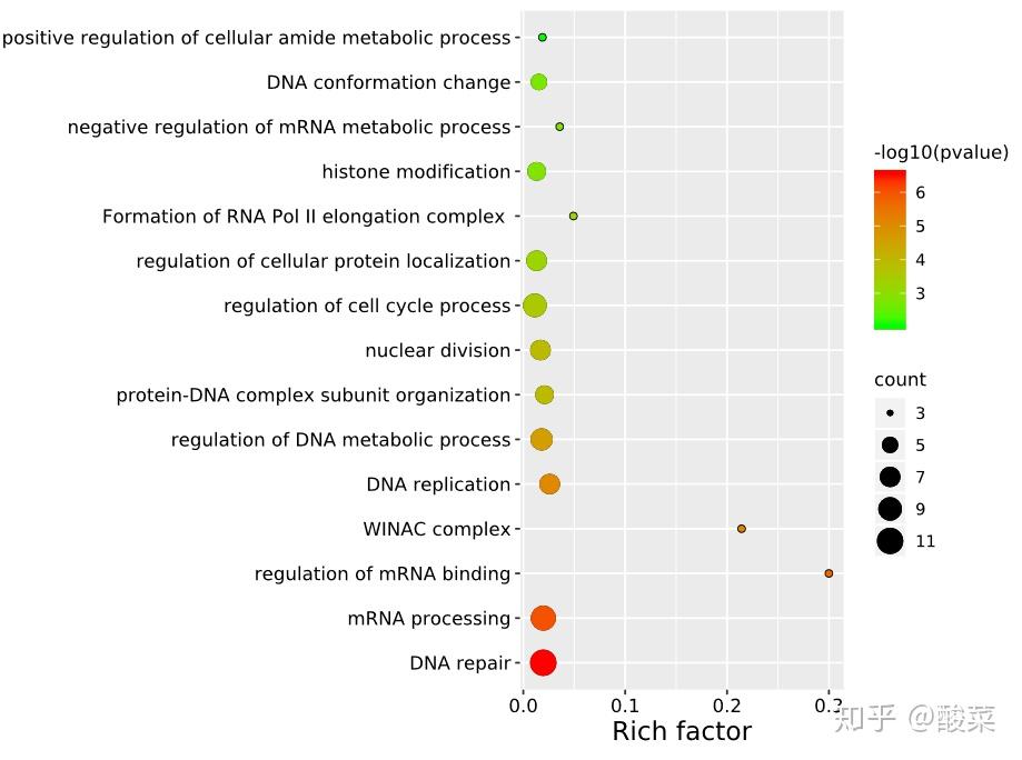 无代码高效绘制富集分析气泡图 知乎