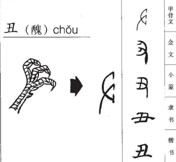 十二地支：子丑寅卯辰巳午未申酉戌亥，到底是什么意思？给你最详细的