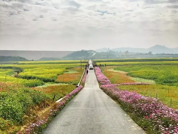 阿以田治修 油彩画 田園風景-