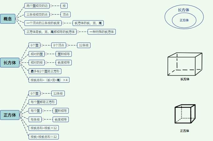 长方体和正方体的思维导图怎么画?