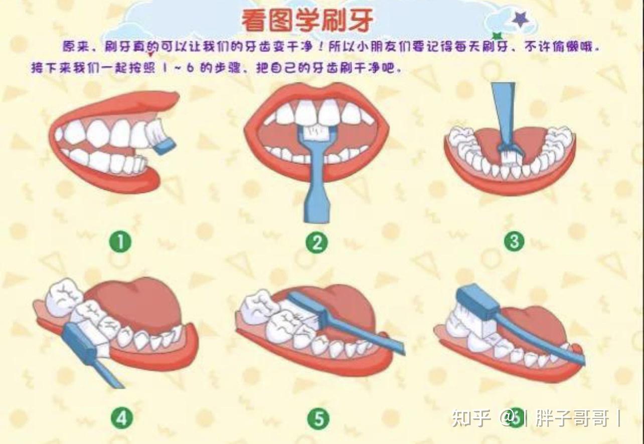 牙醫也能每天嚴格按照巴氏刷牙法刷牙三次麼