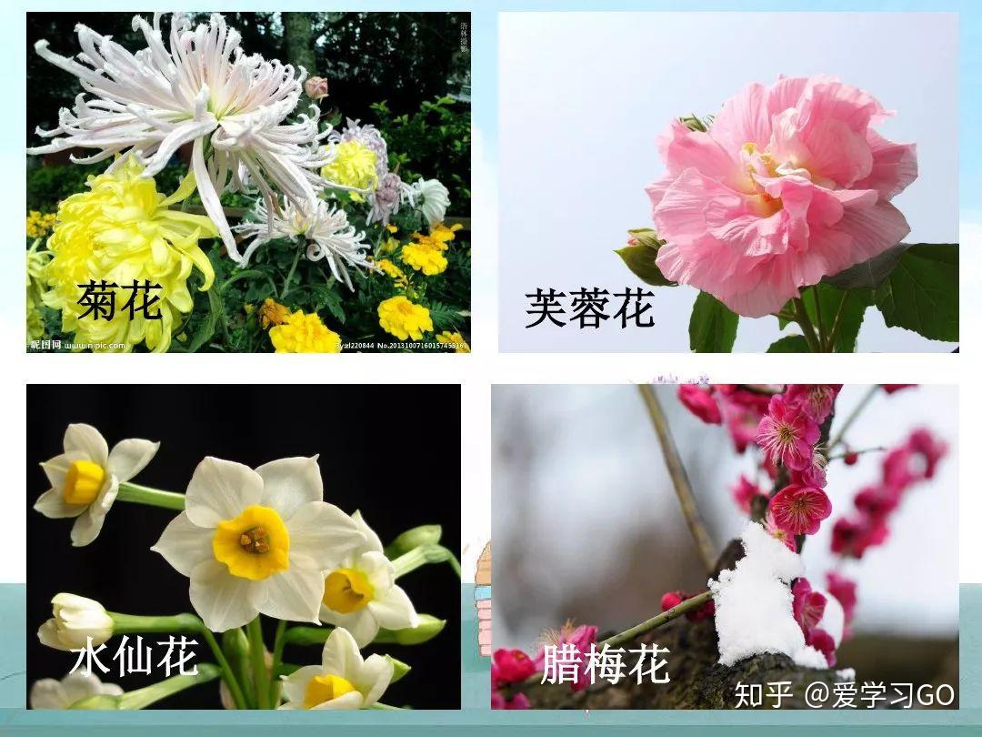 部编版小学语文二年级上册我爱阅读十二月花名歌图文解读知识点