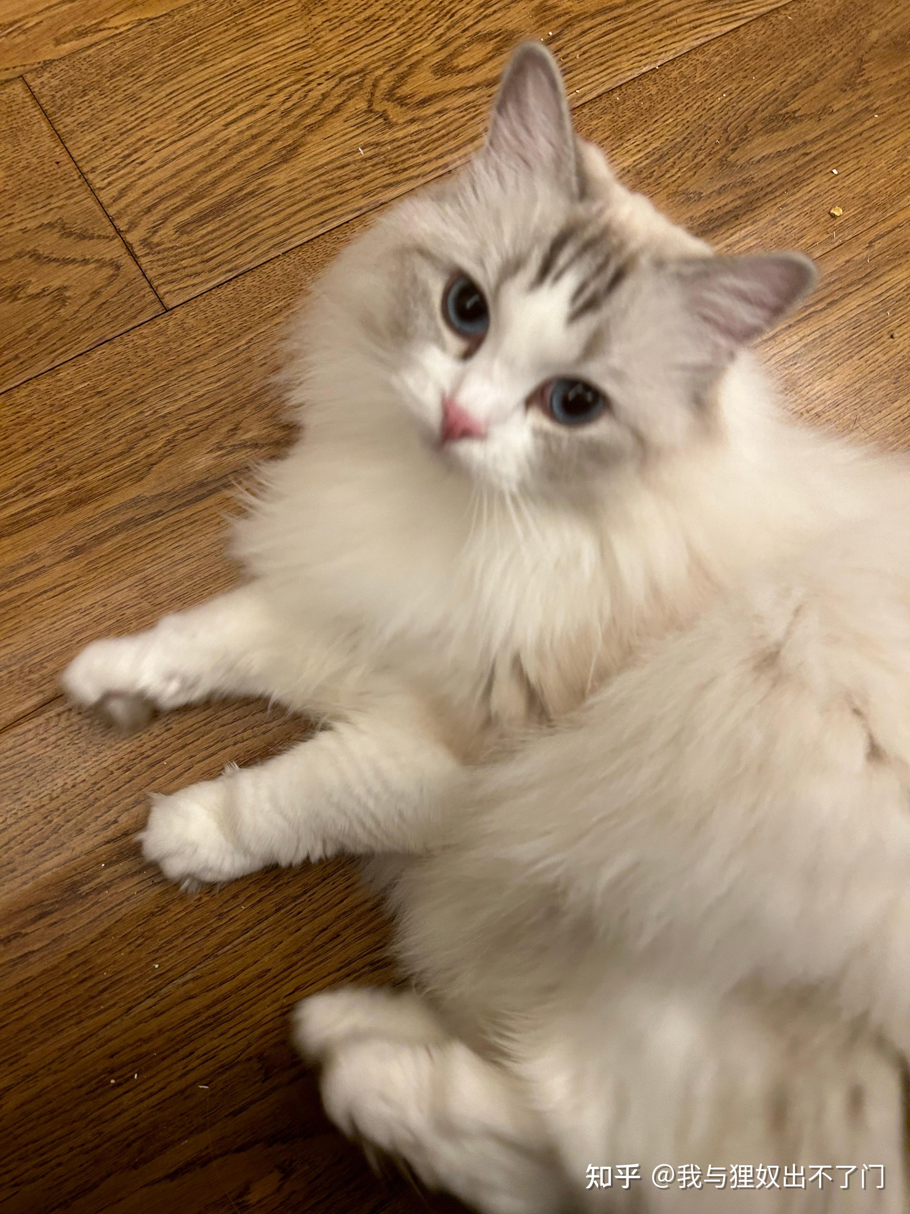 知乎