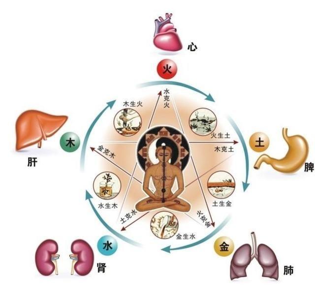 当我们的身体有这些表现，说明五脏出现了问题 - 知乎