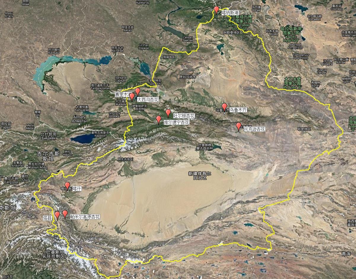 新疆海拔分布图图片