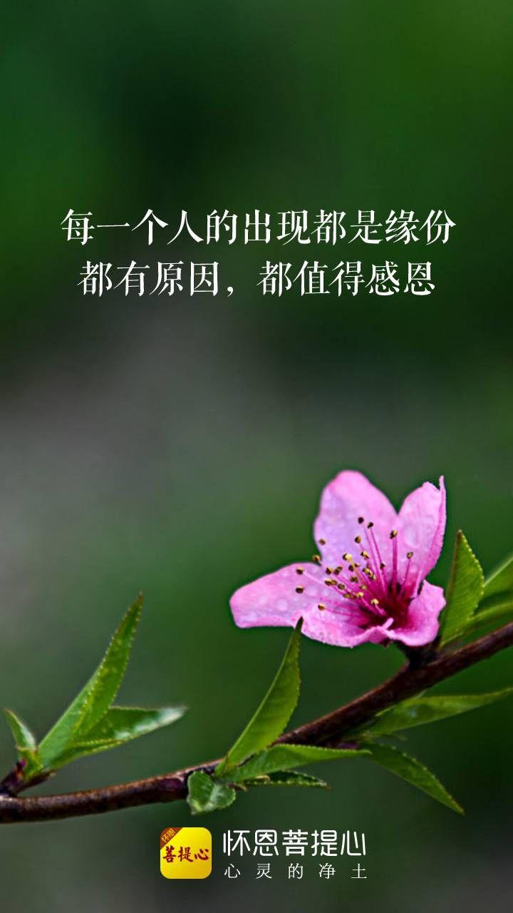 你在出租车上发生过或听到过什么有趣的事