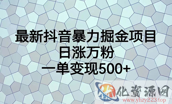 《最新抖音暴力掘金项目》日涨万粉，一单变现500+_wwz