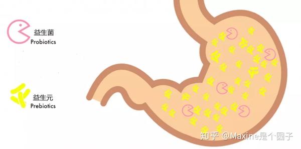 取个名叫“益生菌”,就真的是好菌了吗?