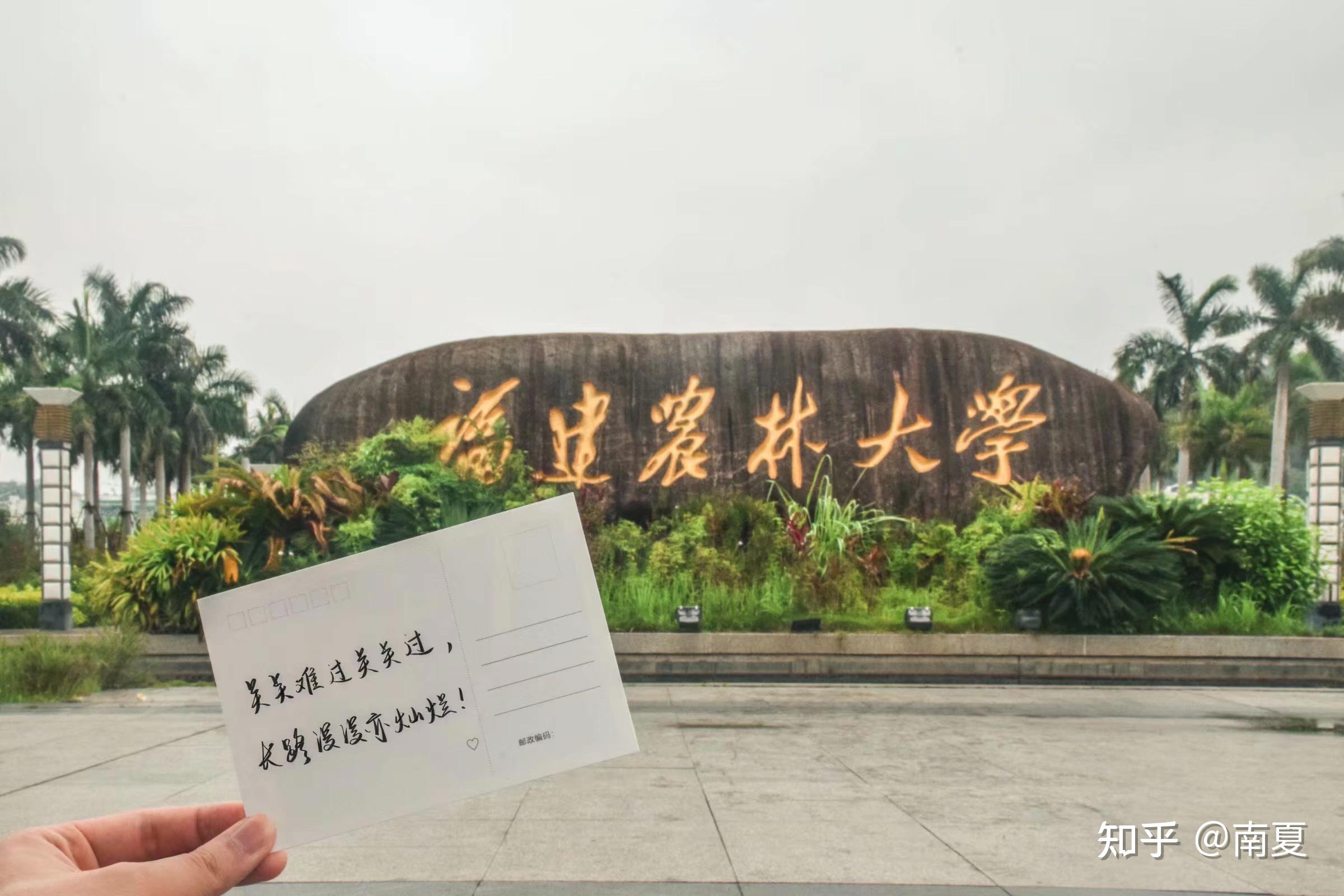 福建农林大学2021级迎新群发布哪