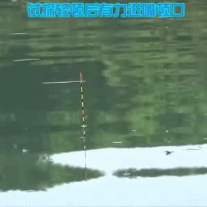 钓鲫鱼的一些浮漂动作扬竿时机分析 - 知乎