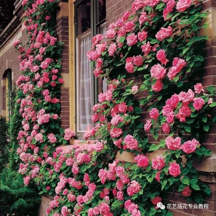 v2-59983dcc1692fd2b331d93f40f703339_1440w.jpg?source=172ae18b