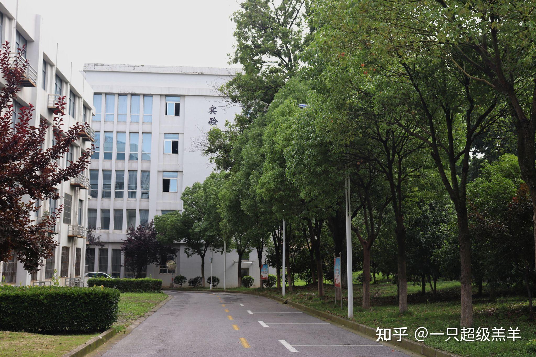 请问金陵科技学院幕府校区怎么样,最好有些图片? - 知乎