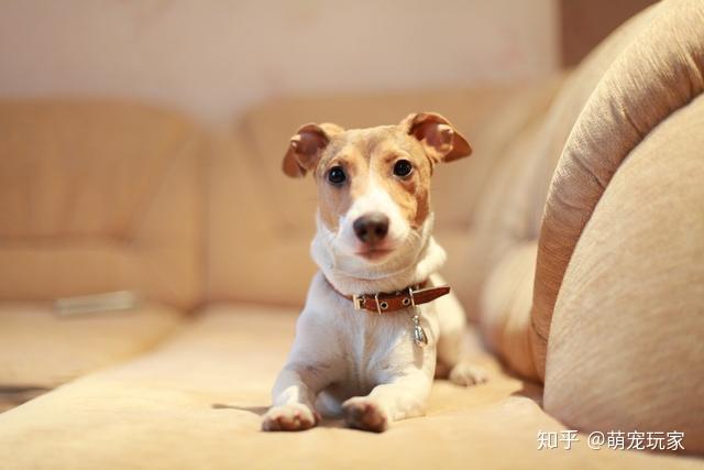 快狗货运司机靠谱吗 v2-59b9f0ebc7062b320332f1f6d7523dbc_r.jpg