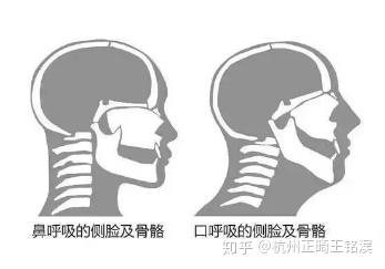 v2-59d201ef139ea8b1eda6b7b4b5cc96fc_b.jpg