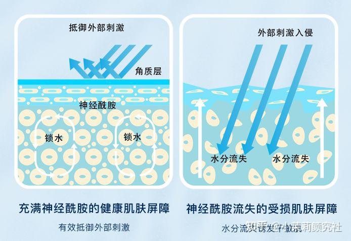 干敏？油敏？激素敏？敏感肌竟然也内卷！！ - 知乎