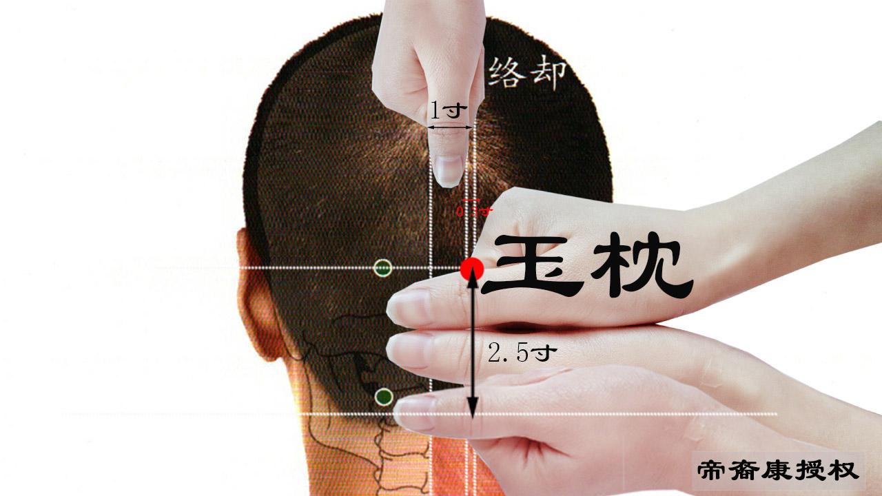 玉枕的准确位置图 zhuanlan.zhihu.com