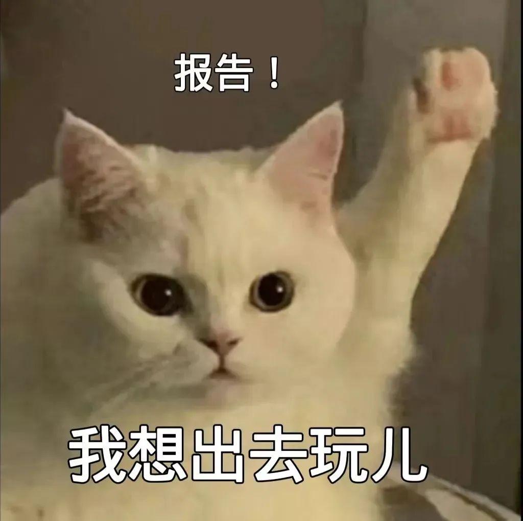 270张最近流行的表情包 - 知乎