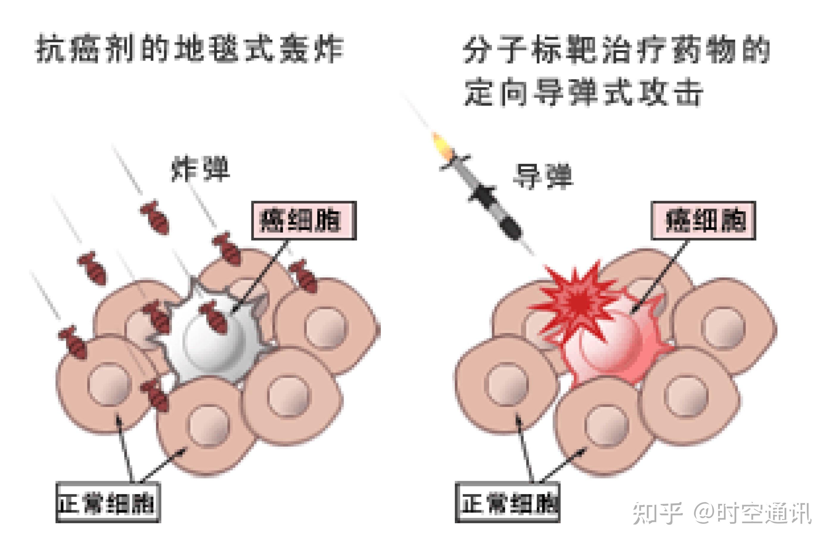 攻克癌症還有多遠未來打一針疫苗就能殺死所有癌細胞嗎