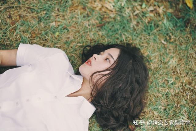 中的明星阵容
