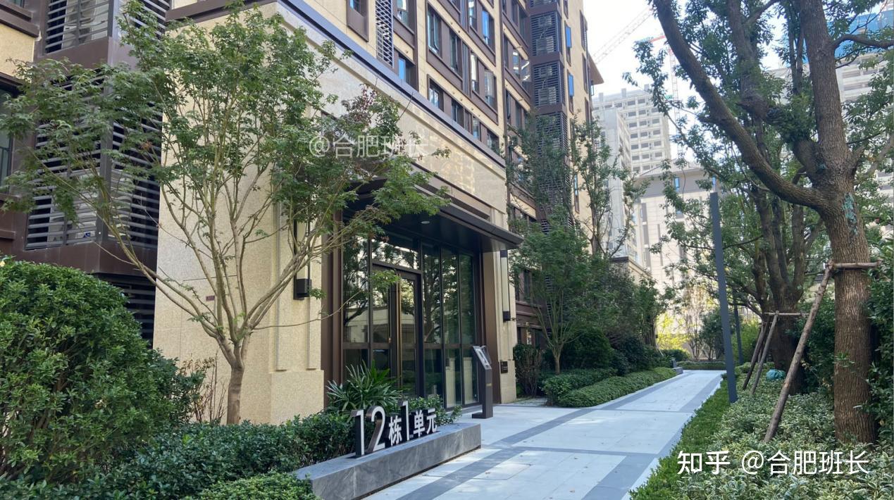 合肥顶流红盘之一实探滨湖省府中轴的阳光城檀悦