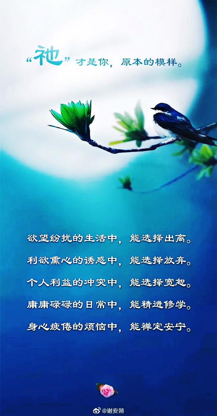 一切众生皆如也一切法亦如也众圣贤亦如也