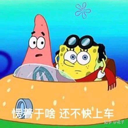 睡莲文案沙雕图片,睡莲文案沙雕图片大全
