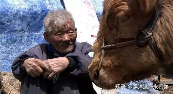 一部真实的纪录片 当一家10口人都在盼你死 知乎