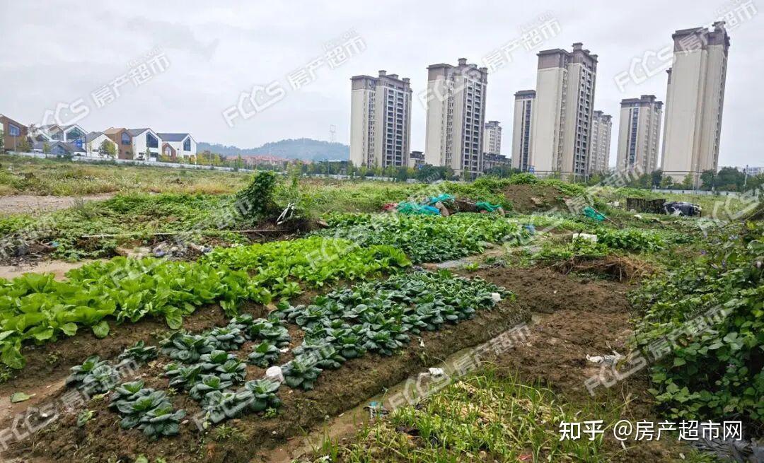 逾3.5亿!长兴实验二小西侧这宗宅地成交 - 知乎