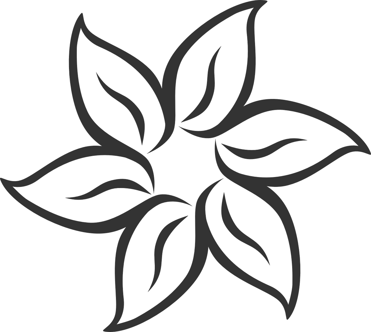 2. 圆叶植物特点