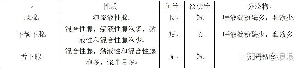 小葉間導管和總導管 假復層纖毛柱狀上