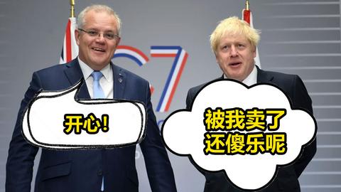 波士顿圆脸 - 知乎